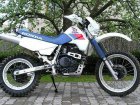 Honda XL 600R-M